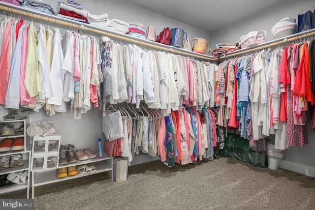 105 Chesterfield Ct, Locust Grove, VA 22508 - walk in closet with carpet flooring