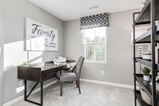 3392 Marble Loop, Rockingham, VA 22801 - photo 8