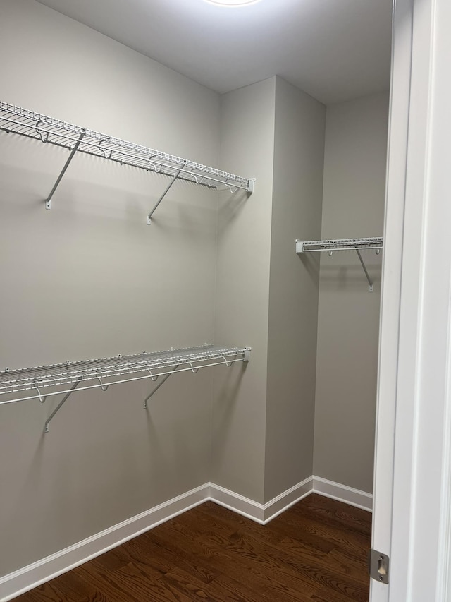 81 Meriwether Cir, Stuarts Draft, VA 24477 - walk in closet with dark wood-type flooring