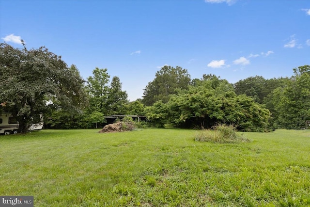 4970 Ridge Rd, Spotsylvania, VA 22551 - view of green lawn with a forest view
