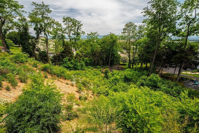 TBD Valley View Dr, Mount Sidney, VA 24467 - photo 13
