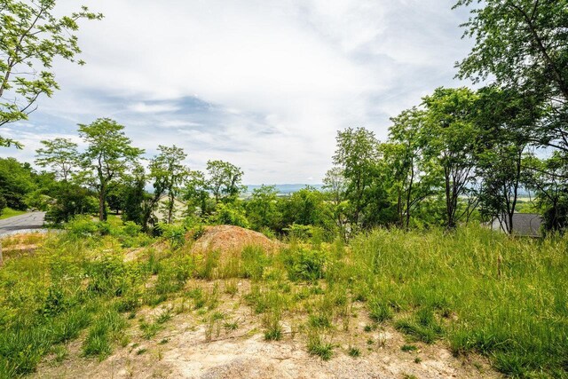 TBD Valley View Dr, Mount Sidney, VA 24467 - photo 3