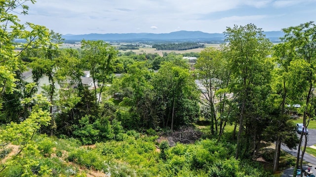 TBD Valley View Dr, Mount Sidney, VA 24467 - photo 16