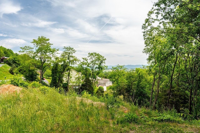TBD Valley View Dr, Mount Sidney, VA 24467 - photo 5
