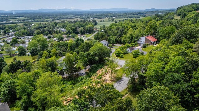 TBD Valley View Dr, Mount Sidney, VA 24467 - photo 19