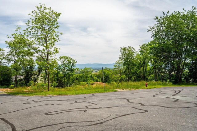 TBD Valley View Dr, Mount Sidney, VA 24467 - photo 6