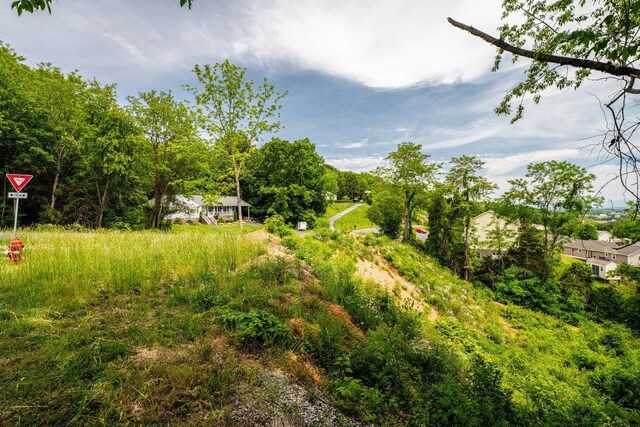 TBD Valley View Dr, Mount Sidney, VA 24467 - photo 15