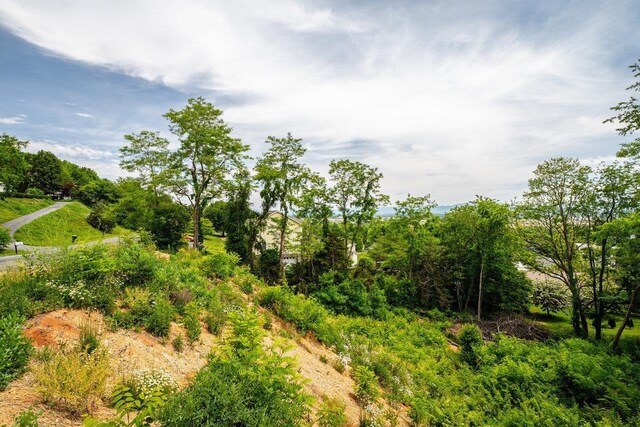 TBD Valley View Dr, Mount Sidney, VA 24467 - photo 14