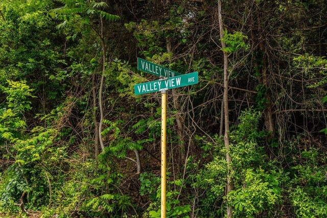 TBD Valley View Dr, Mount Sidney, VA 24467 - photo 8