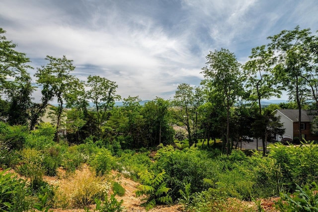 TBD Valley View Dr, Mount Sidney, VA 24467 - photo 12