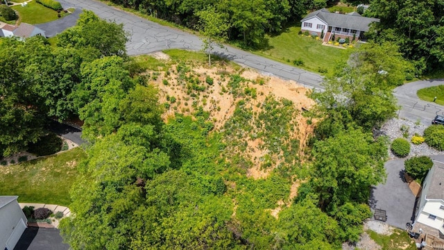 TBD Valley View Dr, Mount Sidney, VA 24467 - photo 17