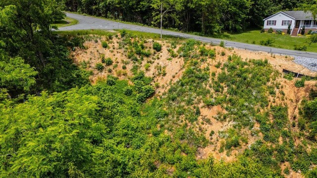 TBD Valley View Dr, Mount Sidney, VA 24467 - photo 18