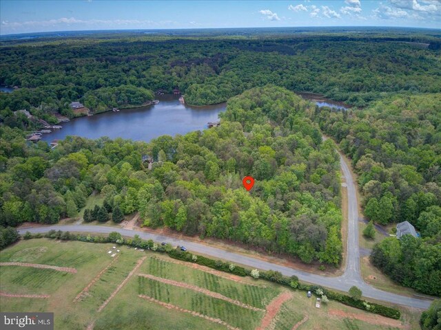 29 Dickinson Dr, Mineral, VA 23117