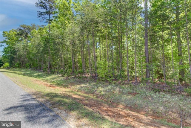 29 Dickinson Dr, Mineral, VA 23117