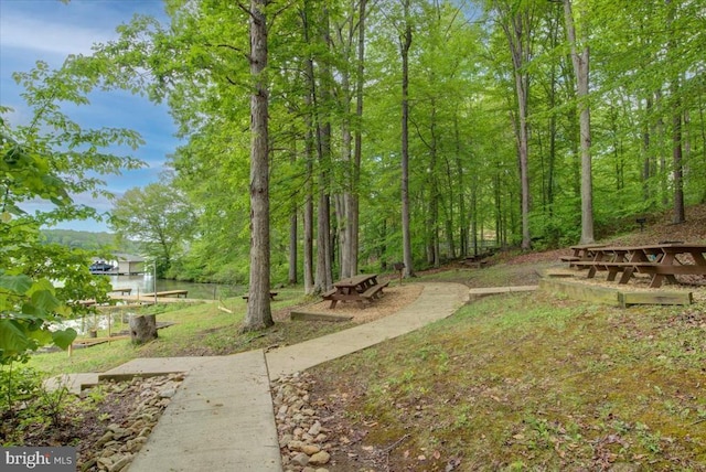 29 Dickinson Dr, Mineral, VA 23117