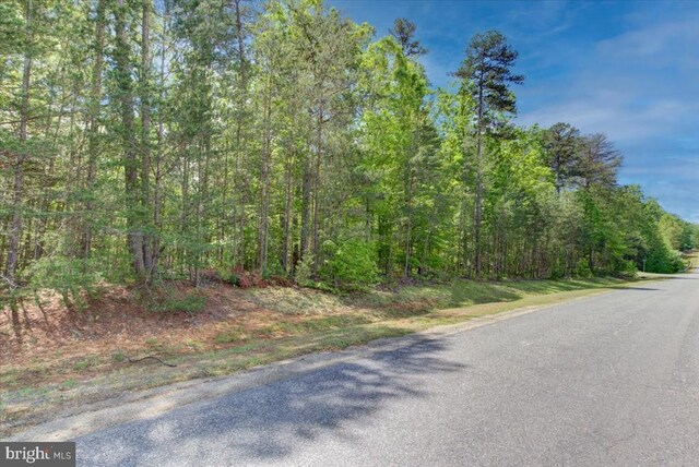 29 Dickinson Dr, Mineral, VA 23117