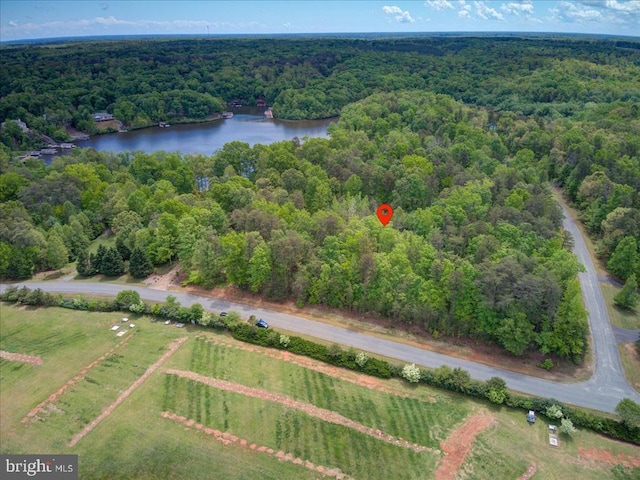 29 Dickinson Dr, Mineral, VA 23117