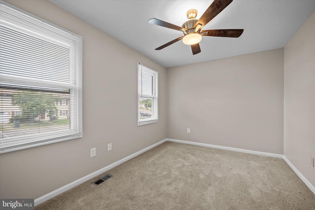 5242 Magnolia Pl, Fredericksburg, VA 22407 - photo 12