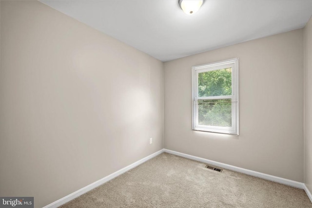 5242 Magnolia Pl, Fredericksburg, VA 22407 - photo 15