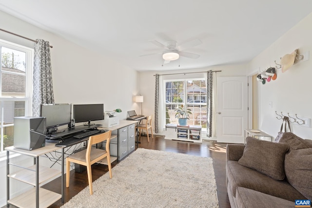 office featuring healthy amount of natural light, a ceiling fan, and dark wood-style floors