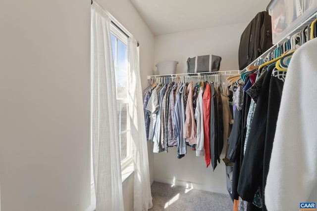 spacious closet with carpet