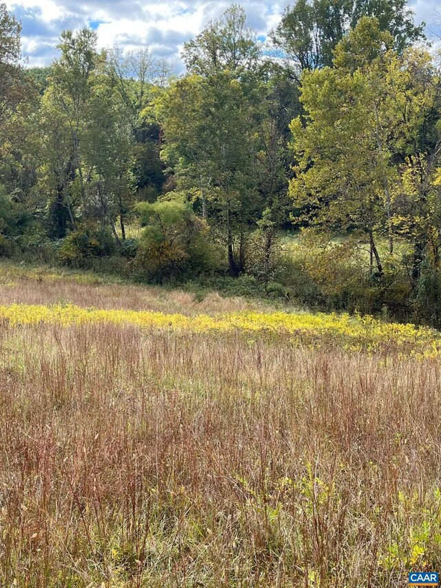 view of local wilderness with a view of trees