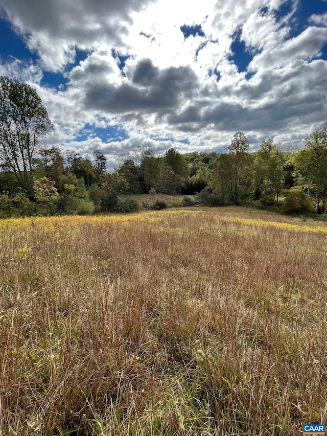 view of nature