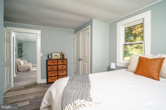 1055 Hacktown Rd, Keswick, VA 22947 - bedroom with wood finished floors, crown molding, baseboards, and a closet