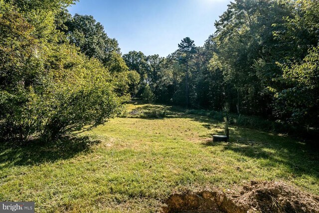 1055 Hacktown Rd, Keswick, VA 22947 - view of grassy yard with a forest view