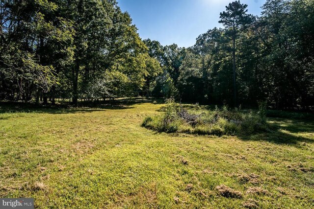 1055 Hacktown Rd, Keswick, VA 22947 - view of grassy yard