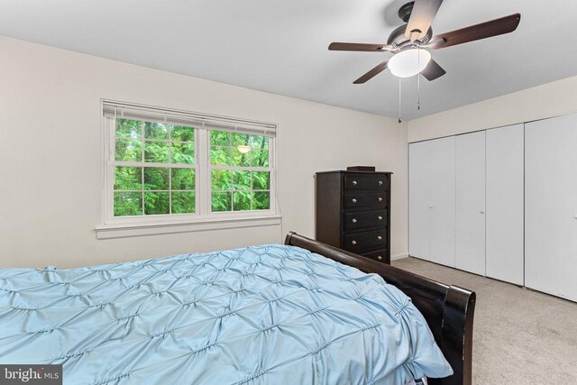133 Woodlake Dr, Charlottesville, VA 22901 - bedroom with carpet floors, a closet, and a ceiling fan
