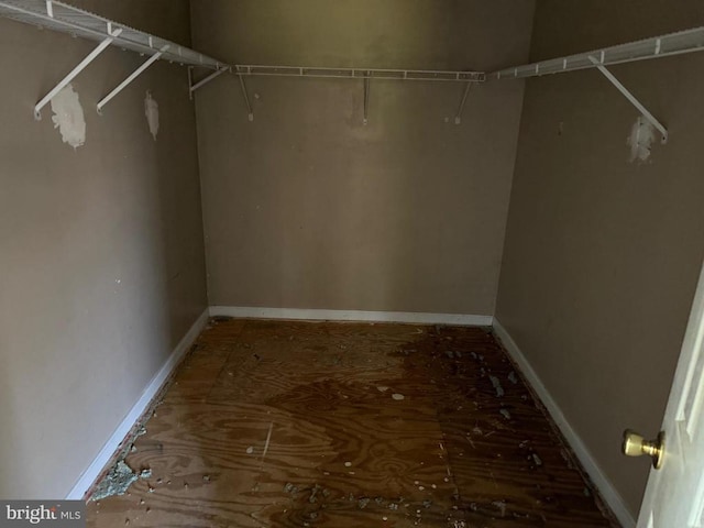 231 Derby Ln, Louisa, VA 23093 - view of walk in closet