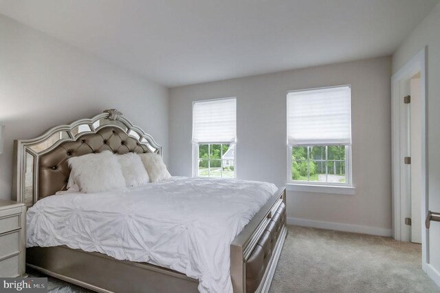 11316 Oakville Ln, Spotsylvania, VA 22551 - carpeted bedroom featuring multiple windows and baseboards