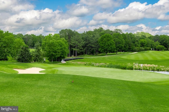 11316 Oakville Ln, Spotsylvania, VA 22551 - view of property's community featuring golf course view, view of scattered trees, a yard, and an area to practice putting