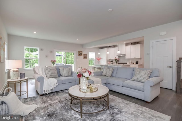 11316 Oakville Ln, Spotsylvania, VA 22551 - living area featuring wood finished floors and recessed lighting