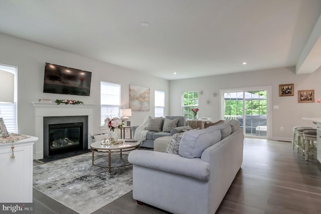11316 Oakville Ln, Spotsylvania, VA 22551 - living room featuring healthy amount of natural light, wood finished floors, recessed lighting, a fireplace with flush hearth, and baseboards