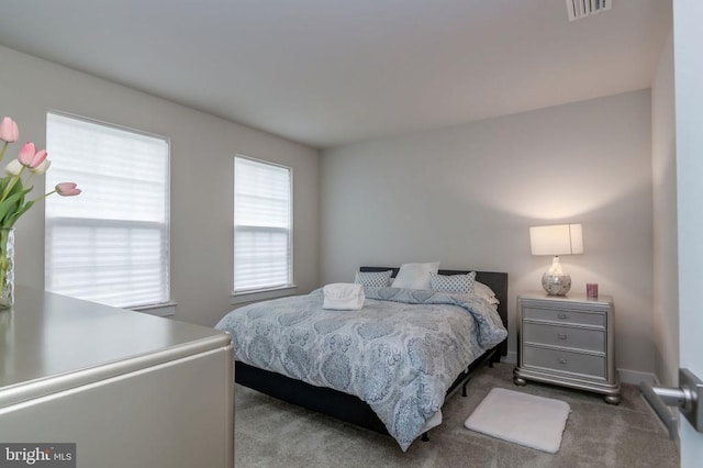 11316 Oakville Ln, Spotsylvania, VA 22551 - bedroom with carpet floors
