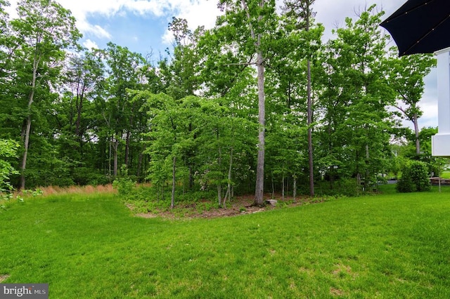 11316 Oakville Ln, Spotsylvania, VA 22551 - view of green lawn