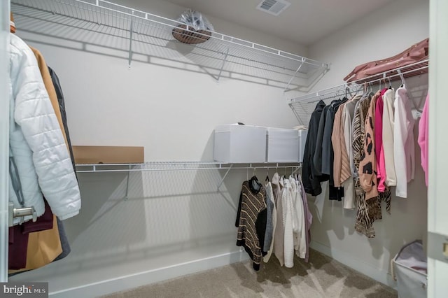 11316 Oakville Ln, Spotsylvania, VA 22551 - spacious closet with carpet floors