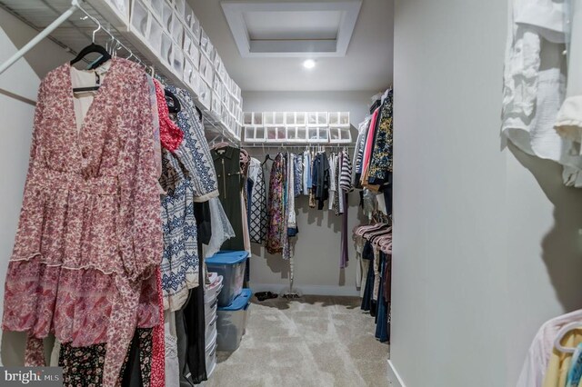 11316 Oakville Ln, Spotsylvania, VA 22551 - spacious closet with attic access, carpet, and a raised ceiling