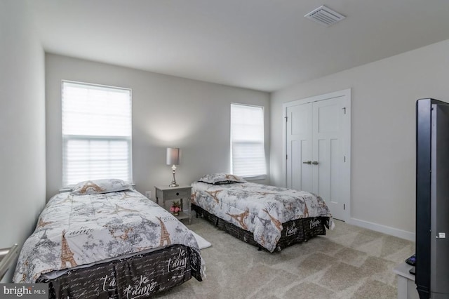 11316 Oakville Ln, Spotsylvania, VA 22551 - bedroom with carpet floors, multiple windows, and a closet