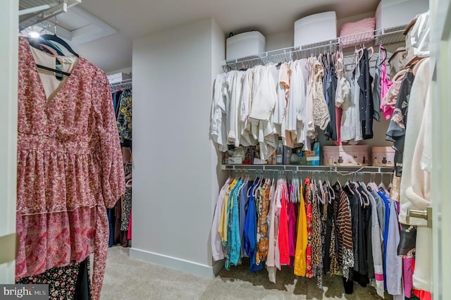 11316 Oakville Ln, Spotsylvania, VA 22551 - walk in closet with carpet