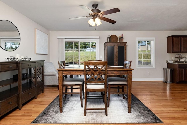 15 Devonshire Ct, Fishersville, VA 22939 - dining room featuring light wood finished floors, plenty of natural light, ceiling fan, and baseboards