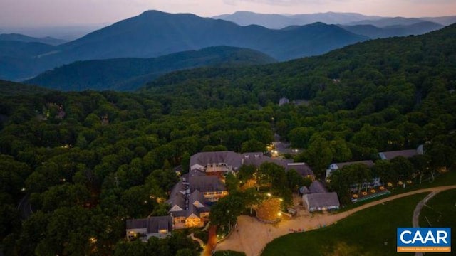 150 Shamokin Springs Trl, Wintergreen Resort, VA 22967 - photo 14