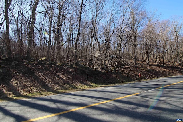 150 Shamokin Springs Trl, Wintergreen Resort, VA 22967