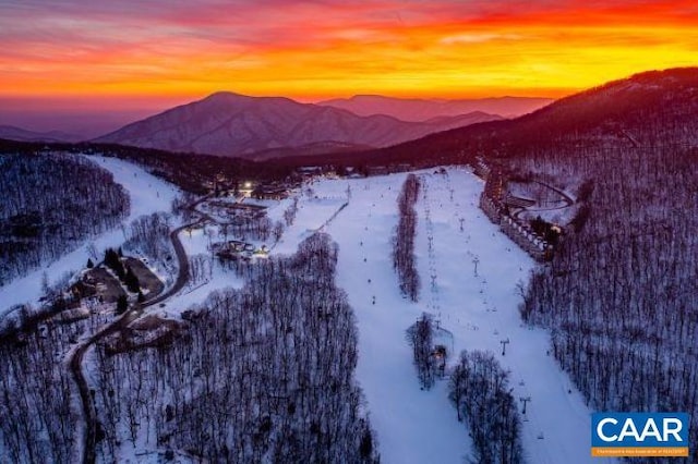 150 Shamokin Springs Trl, Wintergreen Resort, VA 22967 - photo 29