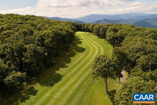 150 Shamokin Springs Trl, Wintergreen Resort, VA 22967 - photo 24