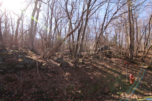 150 Shamokin Springs Trl, Wintergreen Resort, VA 22967
