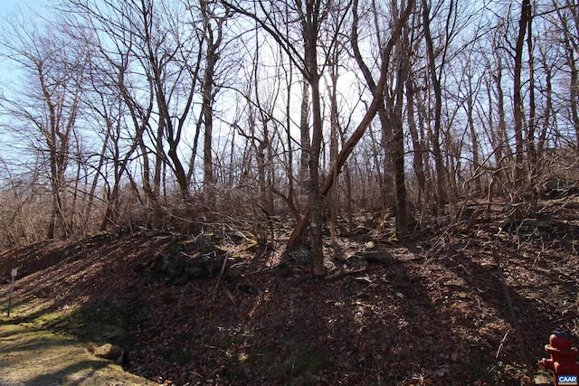 150 Shamokin Springs Trl, Wintergreen Resort, VA 22967 - photo 6
