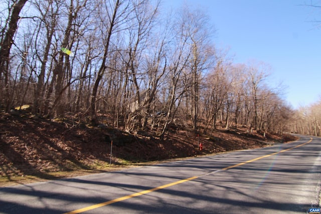 150 Shamokin Springs Trl, Wintergreen Resort, VA 22967
